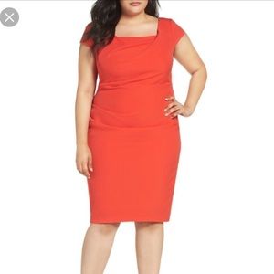 STUNNING Cayenne Adrianne Papell sheath dress